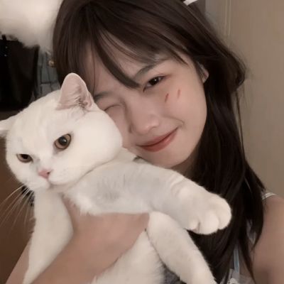 死神加强版下载