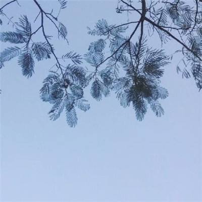 空战争锋360版下载